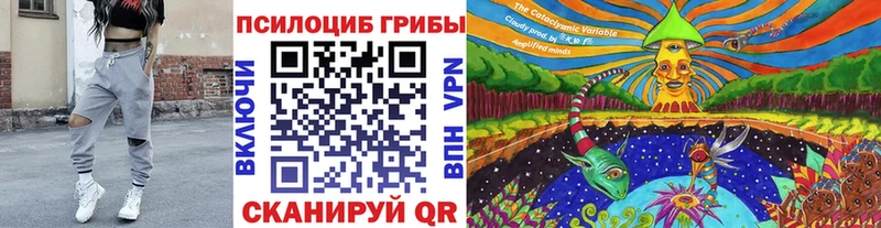 Купить закладки  Беслан  Псилоцибиновые грибы Psilocybe 